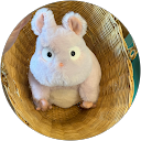 よっしぃ〜“よっしぃ〜”