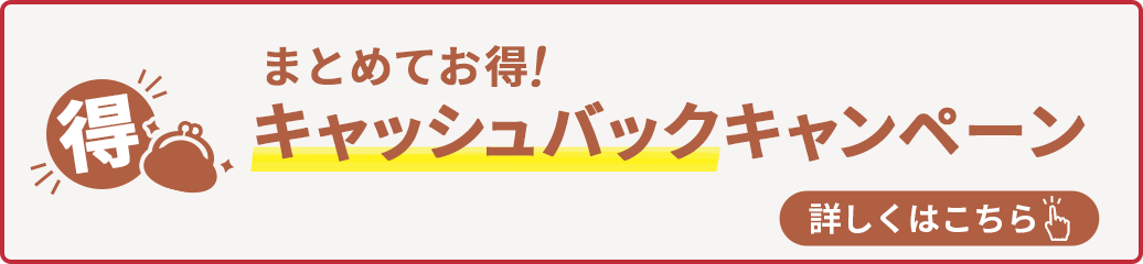 まとめてお得！キャッシュバックキャンペーン！