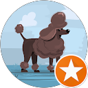 AO K profile picture