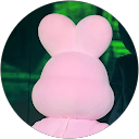 菅原実貴 profile picture