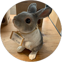 しきちゃん profile picture