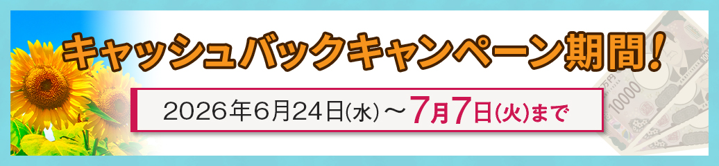 ご新規さま限定！キャッシュバックキャンペーン！